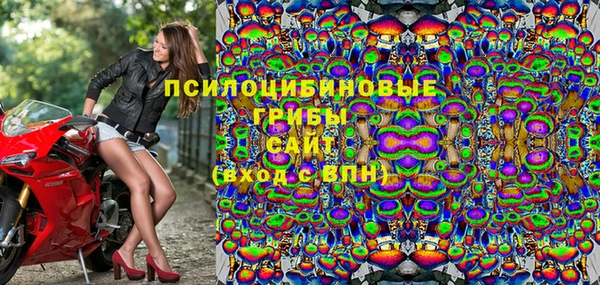 прущие крисы Аркадак