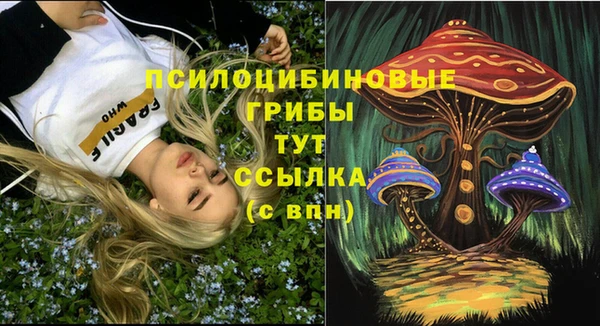 а пвп мука Арсеньев