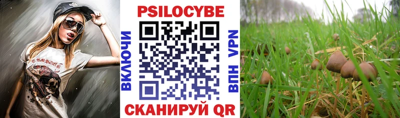 Галлюциногенные грибы мицелий  Нижние Серги 