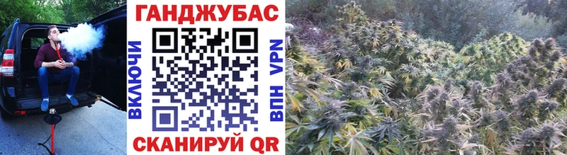 Бошки Шишки планчик  Нижние Серги 